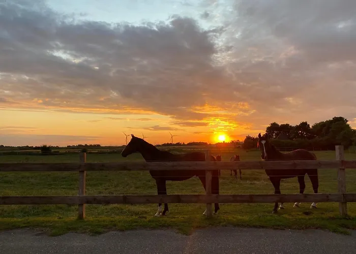 Jensen-hoff Appartement